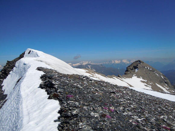 Bruschghorn - Le due Cime del Bruschghorn, a sinistra la principale (q. 3056 m), a destra la Cima N (q. 3044 m).