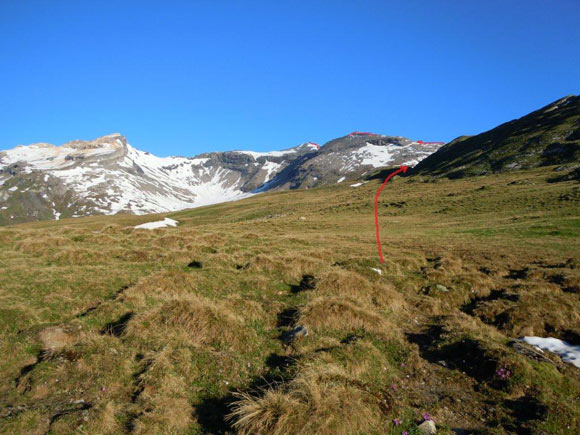 Bruschghorn - Da Curtginatsch si sale il pascolo in direzione NW, aggirando i pendii di Ils-Plattas che si vedono a destra in penombra.