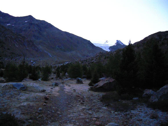 Cima San Giacomo - Lungo il sentiero glaciologico basso, nel vallone che precede la fronte del Ghiacciaio dei Forni