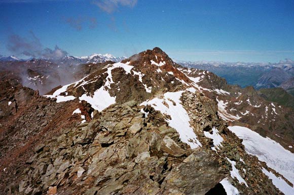 Cime dei Forni - Sulla cresta, uno sguardo all'indietro