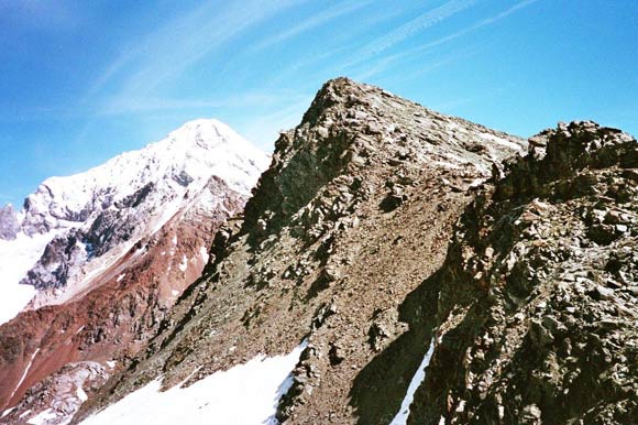 Cime dei Forni - Al centro la quota 3119, dal Passo di Zebr Sud
