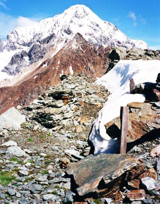 Cime dei Forni - Sulla quota 3119