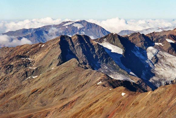 Cime dei Forni - Le Cime dei Forni da NE