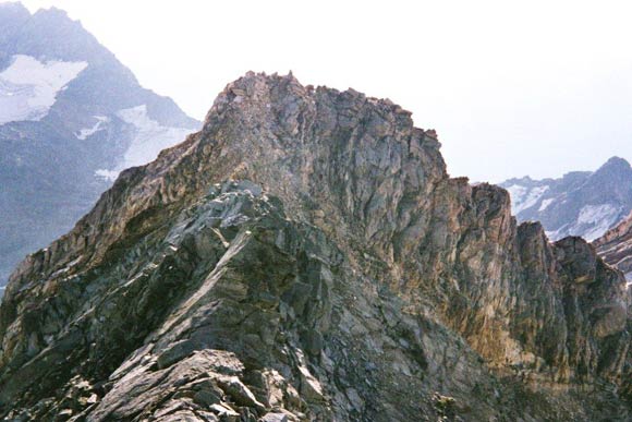 Pizzo Suretta (cresta NNE) - Verso la Punta Rossa