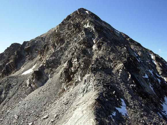 Flàela-Wisshorn, cresta NE - La cresta NE dalla (q. 2941 m)