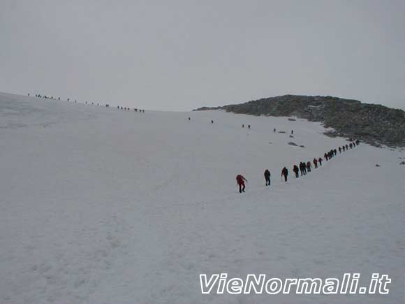 granparadiso - La fila di cordate sul ghiacciaio