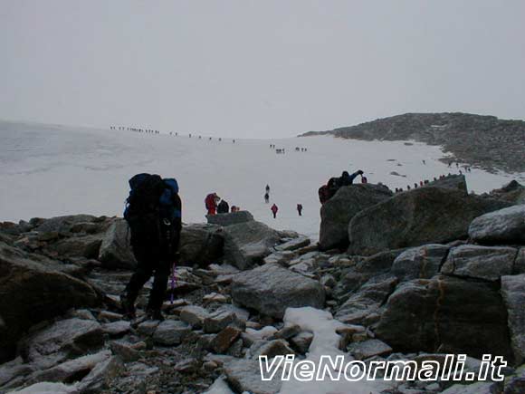 Gran Paradiso - Cordate nella parte intermedia del ghiacciaio