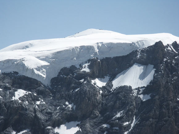 Madaccio di dentro - Cima Tuckett - Calotta glaciale dell'Ortles vista dalla cima del Madaccio di dentro