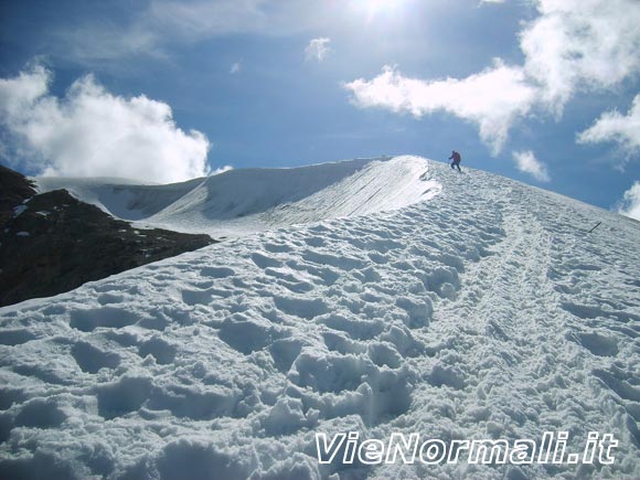 Marmolada - Punta Penia (cresta W) - Discesa dalla cresta nevosa Schena del Mul
