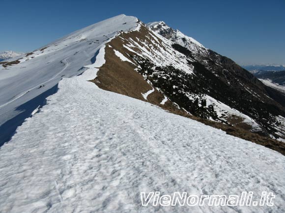 montebaldo - La cresta verso la Cima Chiergo dai pressi della Bocchetta di Naole
