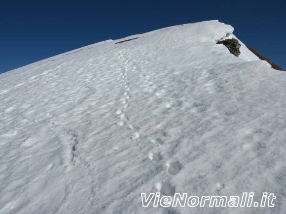 montebaldo - Il pendio di salita verso la cresta di Cima Chiergo