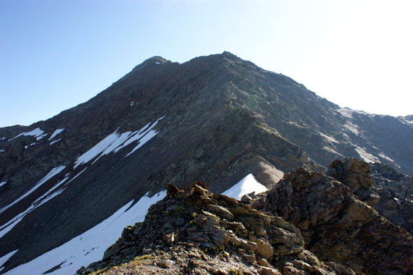 Monte Forcellina - Sulla cresta SW