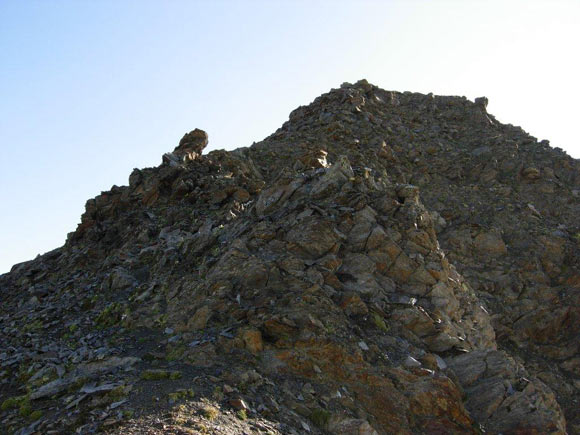 Monte Forcellina - Sulla cresta SW