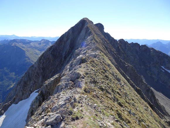 Monte Torena da nord - Il Monte Torena dala cresta NW