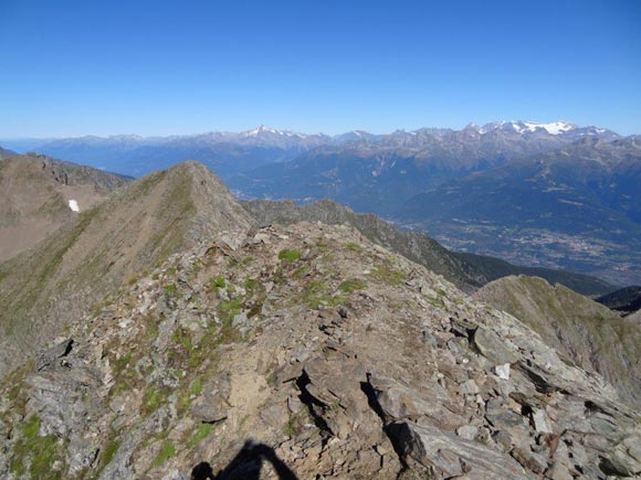Monte Torena da nord - A sinistra l'anticima NW, all'orizzonte il M. Disgrazia e il Gruppo del Bernina. Dalla vetta