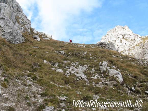 Pala Oltro - L'ultimo ripido pendio erboso prima della Forcella del Caldrolon