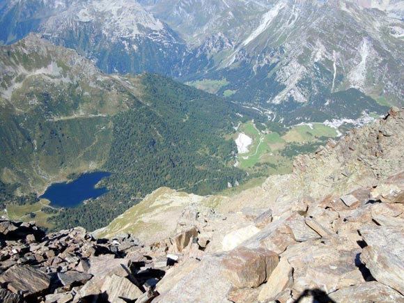 Piz da la Margna - La bassa Val Forno