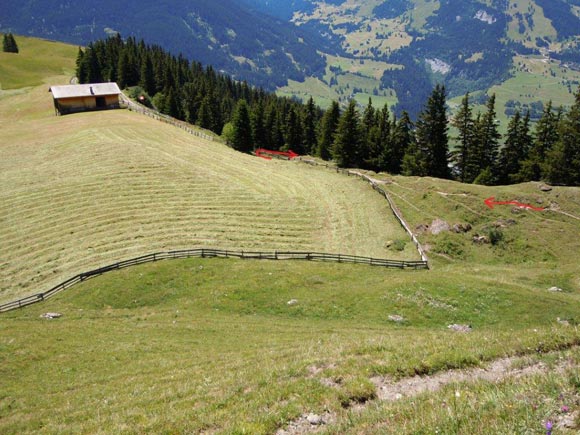 Piz Mitgel - Poco prima di raggiungere la stradina che, verso destra, in breve ci riporter al parcheggio