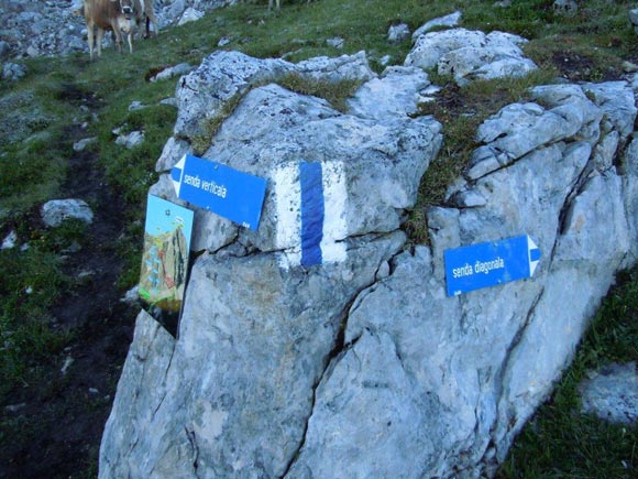 pizmitgel - La Senda verticala esula dal concetto di via normale, proseguiamo verso destra