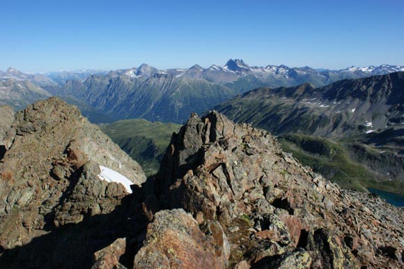 pizmuragl - Panorama verso N. All'orizzonte il castello del Gruppo del Piz Kesch