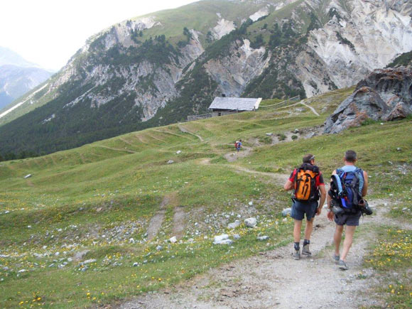 Piz Sesvenna - L'Alp Sesvenna