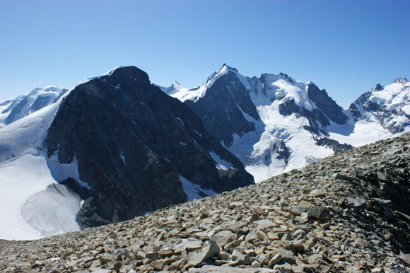 Piz Tschierva - Dalla vetta. Da sinistra, Palu, Morteratsch, Zup, Bernina, Scerscen e Roseg