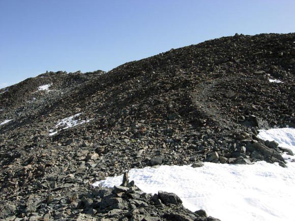 Piz Vadret - Sulla facile cresta SW, a sinistra la vetta