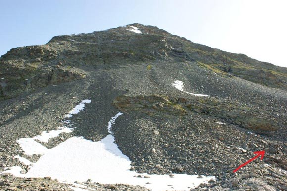 Piz Vadret - Il Pendio S del Piz Vadret dalla Fuorcla Muragl