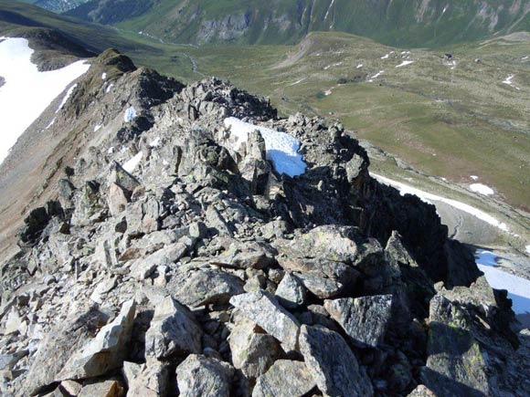 Piz Viroula - In discesa sulla cresta S