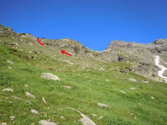 Pizzi dei Piani - Il pendio che porta in cresta, nell'alta Val Melera