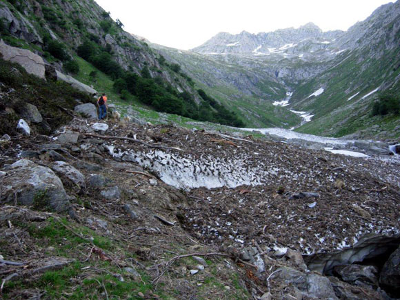 pizzocampanile - Lungo la Valle del Dosso, poco oltre l'Alpe di Madri