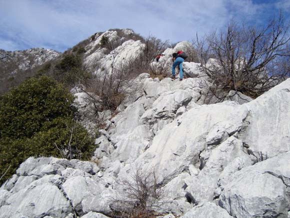 Monte Pizzocolo - Cresta SE - Verso la fine della cresta