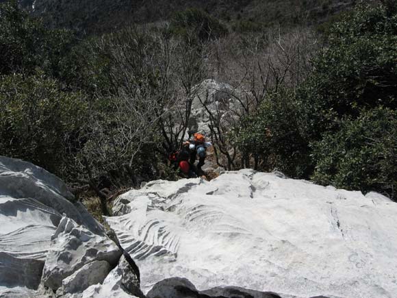 Monte Pizzoccolo - Cresta SE - Primo salto roccioso all'inizio della cresta nella boscaglia