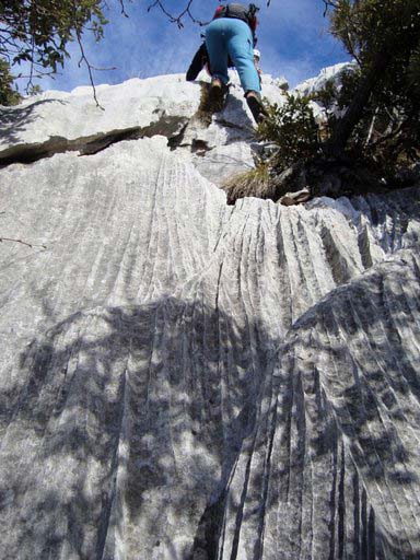 Monte Pizzocolo - Cresta SE - Uscita dal salto roccioso