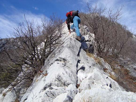 Monte Pizzoccolo - Cresta SE - Passaggio fra i cespugli