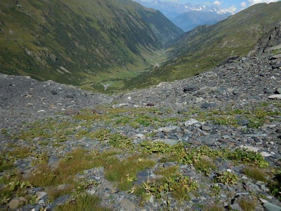 Pizzo dell Omo - In discesa, verso la Valle d'Ambria