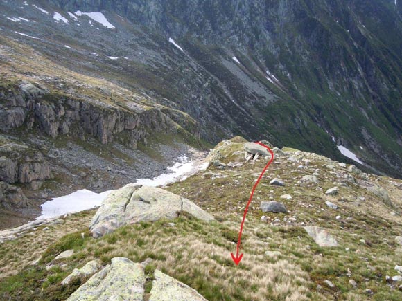 pizzopaglia - I pendii sopra l'Alpe Caurga che rimane a centro immagine