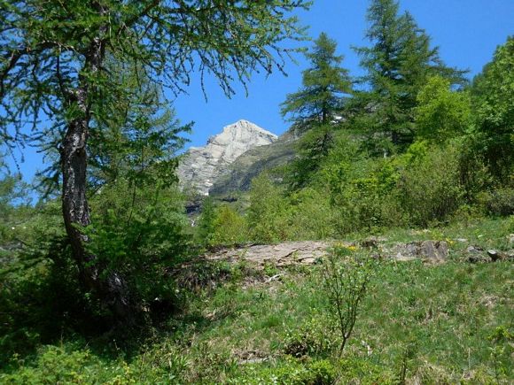 poncionerosso - In salita, poco prima dell'Alpe Fmegna inf. (q. 1627 m)