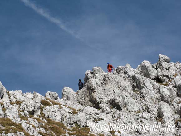 Pizzo della Presolana Ovest - Tratto di cresta prima della cima