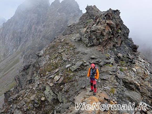 Punta Albiolo - Il forcellino sotto la cima