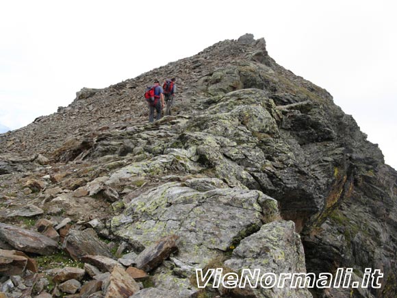 Punta Albiolo - Lungo il crestone finale