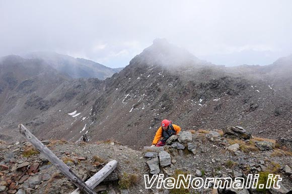 Punta Albiolo - La cima dell'Albiolino