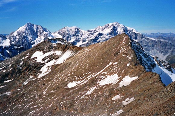 Punta dello Scudo - In primo piano a destra la Punta dello Scudo e a sinistra la Punta delle Laste, all'orizzonte Gran Zebr, Monte Zebr e Ortles