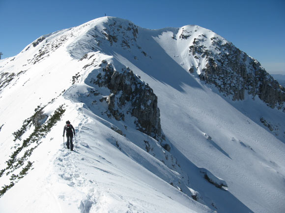 puntapettorina - Lungo la cresta che conduce alla Punta Pettorina