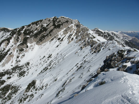 Punta Pettorina e Punta Telegrafo - Lungo la cresta di collegamento con la Cima Valdritta