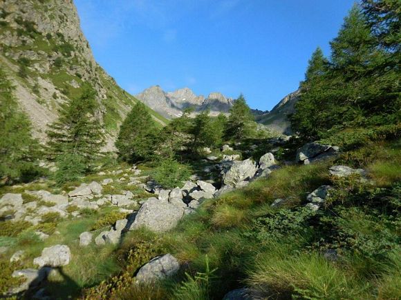 puntavicima - In salita, verso l'Alpe Vicima