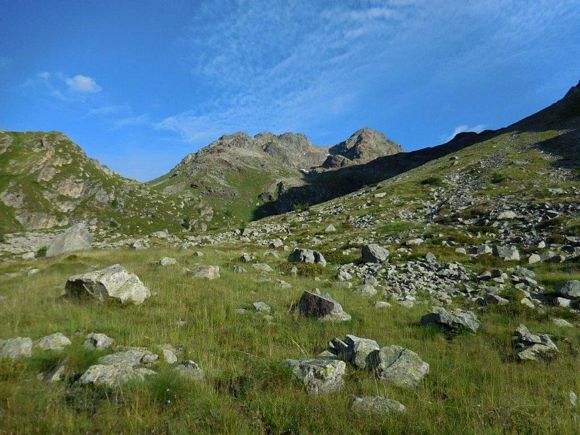 Punta Vicima - In salita, dopo l'Alpe Vicima