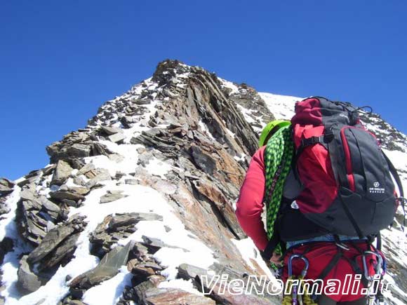 Pizzo Tresero - La cresta finale vista dal forcellino