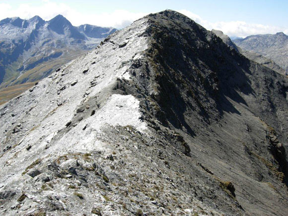 tscheischhorn - In discesa verso la Cima S