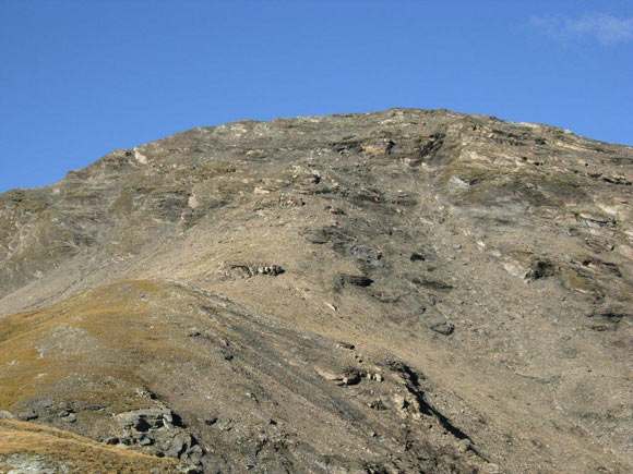 Tscheischhorn - Verso la Cima S